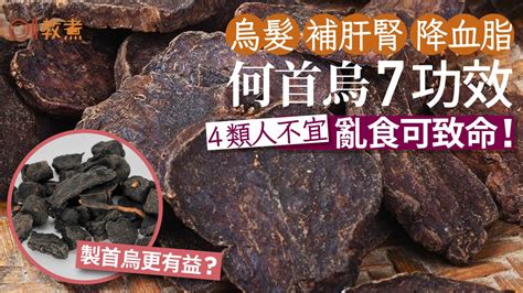 何首烏的功用|何首烏 的功效與作用有哪些？完整解析！